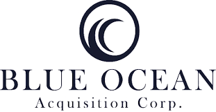 Blue Ocean Acquisition Corp Stock Chart